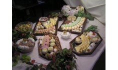 Foto's van Beerkens Catering