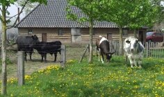 Foto's van Doe-boerderij An't Hoag